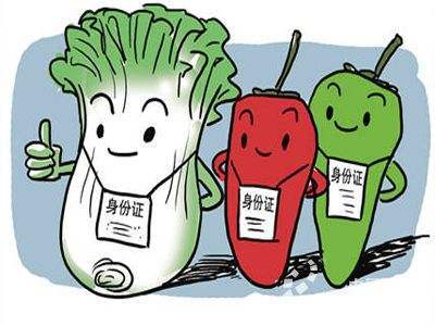 在線飛行激光打標機