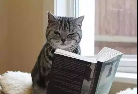 深圳激光打標機民升激光開工了