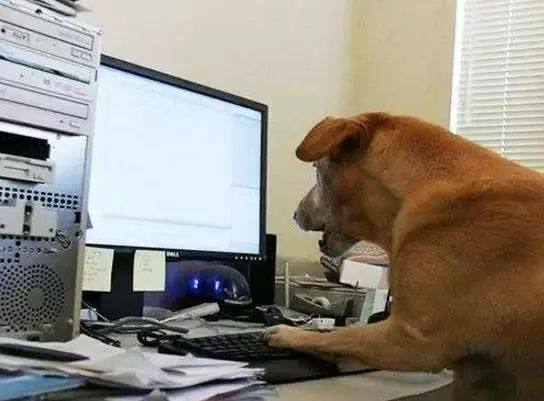 深圳激光打標機民升激光開工了