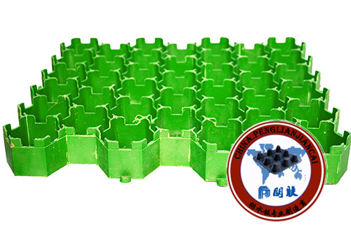 塑料植草格http://www.fcemwgsti.cn/